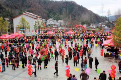 湖北“大美乡村 生态年货节”走进三岔村 近千人打年货