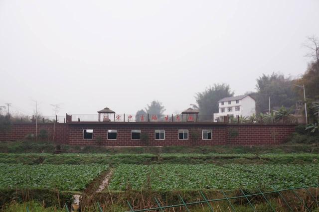 珞璜美丽后花园同福村 乡村旅游即将起航
