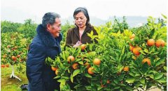 退休教师当“领头雁” 创业不忘拉残疾人一把