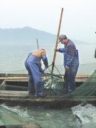 浙江东钱湖冬捕：捕获的是一年喜悦