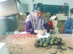 广东鹤山：春节将近“百姓茶”受宠