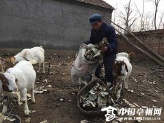 安徽谯城区“日托看管”解贫困户后顾之忧