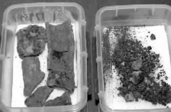 西安：出土2800年前小麦颗粒 或将改写史学观点