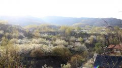 山东沂南五彩庄村:乡村旅游铺就脱贫致富路