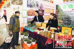 合肥年货展上新奇事：头顶“八爪鱼”