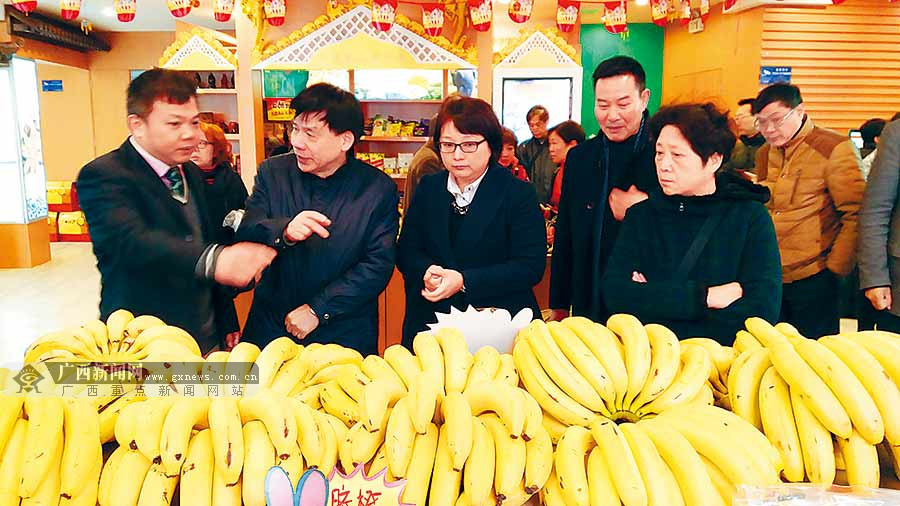 广西特产提品质树品牌闯新路 行销全国走向世界