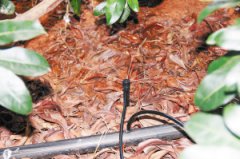 航天科工集团精准扶贫：云南东川350亩果园实现智能灌溉