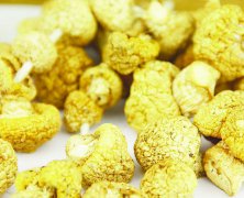 青海海北草原的绿色账本：一公斤黄蘑菇卖到1600元