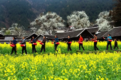 贵州最美的春天，都藏在这个村里！