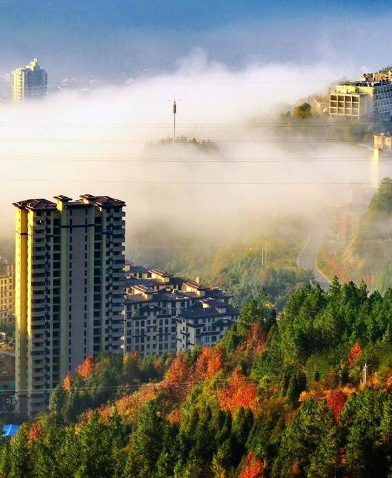 磐安药镇：花落花开 药香江南