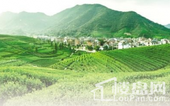 农村产权：农地三权分置有序实施 土地流转更放心