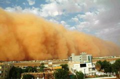 坚守在黄沙大地的养鱼大王何延忠，带动大家一起致富