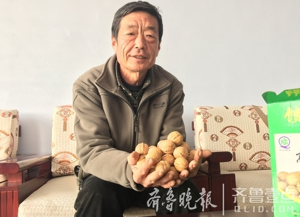 胶州小村庄种核桃,600多村民告别贫困过上好日子