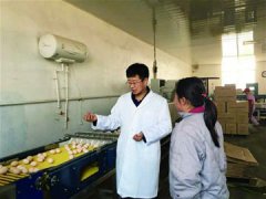 山东省平度“鸡蛋大王”获评致富带头人
