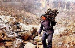 卖柴翁：砍柴为生的他 如今靠砍柴发家致富