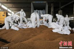 天津：销毁108吨禽流感疫区进口猫粮狗粮