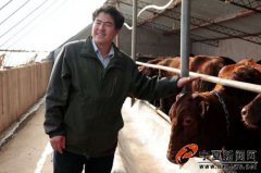 宁夏固原养牛“达人”王伟伟：致富不忘乡亲们