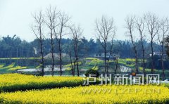 32枚增雨火箭弹上天 四川泸州空气一夜“小清新”
