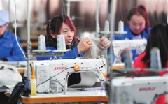 宁夏固原：“公司+贫困户”共圆创业致富梦