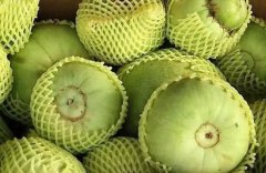 黑龙江福兴乡转变种植方式 棚室种植户走上致富快车道