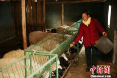 贵州的“晴隆模式” 留住了水土 致富了乡民