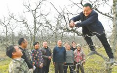 河南宁陵县“土专家”杜华成梨农致富引路人