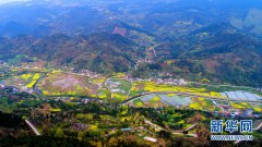 重庆梁平发展乡村旅游 曲水镇化身花的海洋