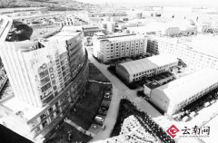 云南海归创业园建立七大公共服务平台为海归创业者提供育林式全程