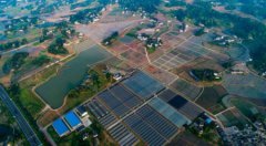 四川第二届蔬菜品赏会 4月27日在泸州江阳区举行