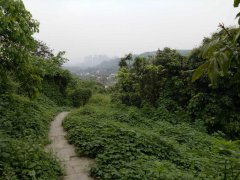 泸州城中园林 五一不二的选择（张坝景区）