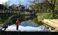 “美丽乡村” 邀单身的你乘坐“520爱情班车”