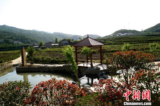 驻村日记：扶贫故事·一个山区乡镇的“精神宴”