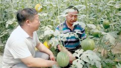 <b>河南：爱岗敬业，做一名踏实的乡镇干部</b>