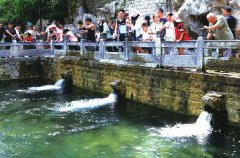 山东济南：各县区借传统佳节搭台“唱戏”乡村游持续火爆