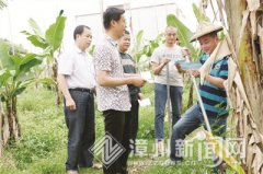 福建漳州：强化乡镇纪检建设 让基层“强筋壮骨”履好职