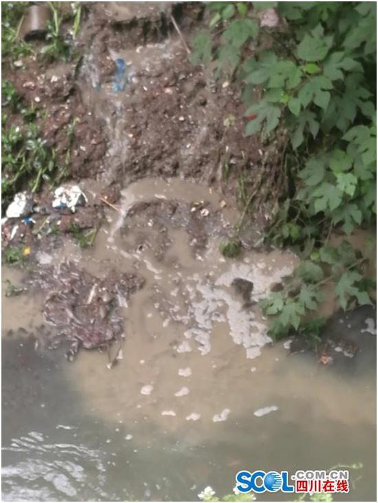 图为该厂其中一个排污口。由于屠宰场清洗时间已过，记者到达时未见污水泛红现象