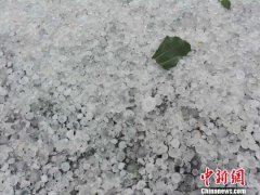 <b>河北故城:一乡镇遭冰雹灾害 逾7451亩农作物受灾</b>