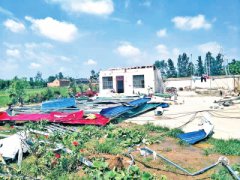 <b>河南周口：龙卷风突袭 部分乡镇民房屋受损</b>