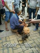 <b>四川古蔺：下桥上的一幕，被网友拍下！</b>