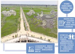 辽宁沈北新区试点大面积农村土地经营权流转