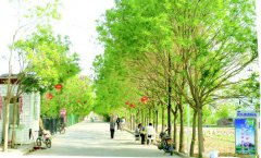 甘肃：白银市白银区多举措改善农村人居环境推动美丽乡村建设