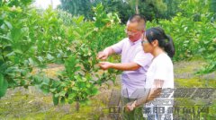 四川：安州区多措并举优化返乡创业环境——  筑巢引凤 激活“归