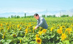 甘肃：田园逐梦——酒泉市农业农村发展综述