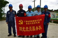 党员服务队丨来宾兴宾供电局开展阳光服务