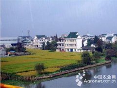 浙江农村改革这样破题