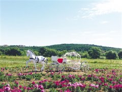 内蒙古：走好观光农业之路 将景区游客送到乡村