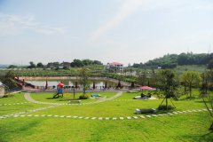 重庆:生活在花园，工作在果园，老张的“农村生活”
