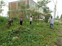 安徽：石坝镇“三线三边”常态化助推美丽乡村建设