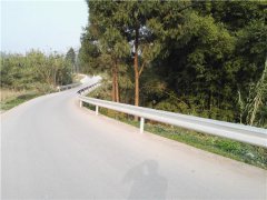 重庆：大足建253个农村公路养护协会 让乡村路畅通无阻