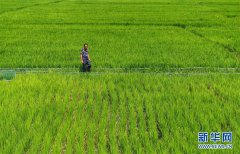 吉林：“农地贷”使农村“死资源”变“活资本”